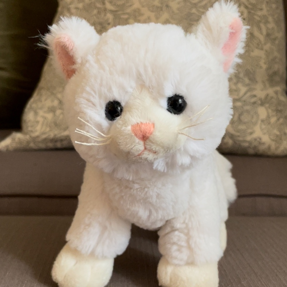 White fluffy stuffed animal kitty cat kitten